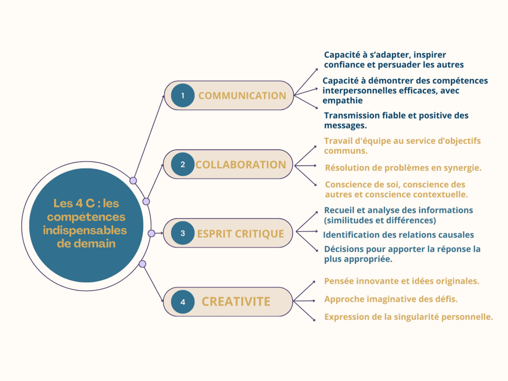 les 4 compétences transversales indispensables | Trajectoires🔆