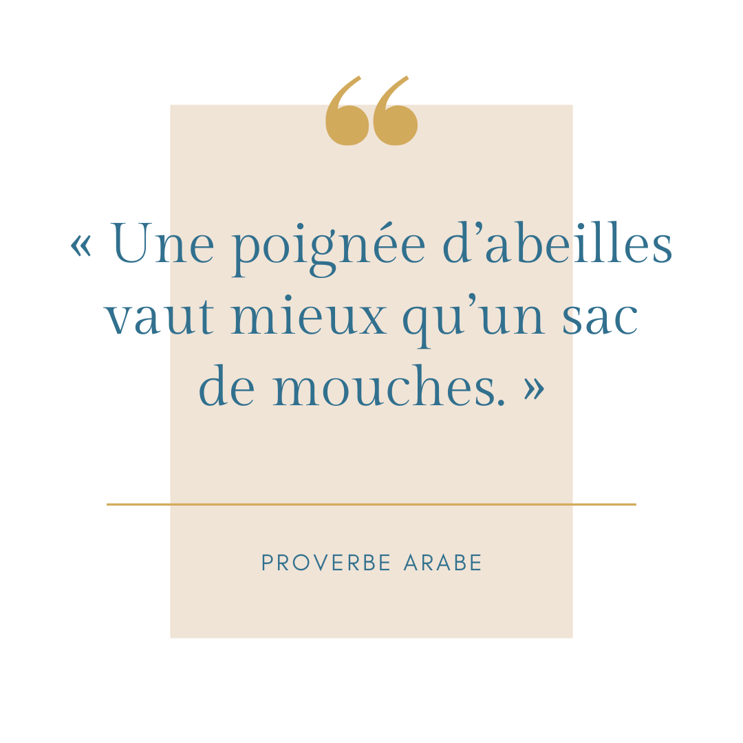 Le syndrome du sac de mouches : pourquoi clarifier la vision de son entreprise ?