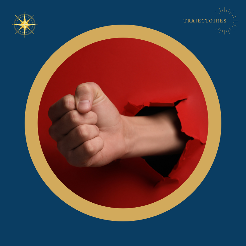 L'Archétype du Rebelle L'archétype du rebelle : il créé le changement, plutôt que de le subir