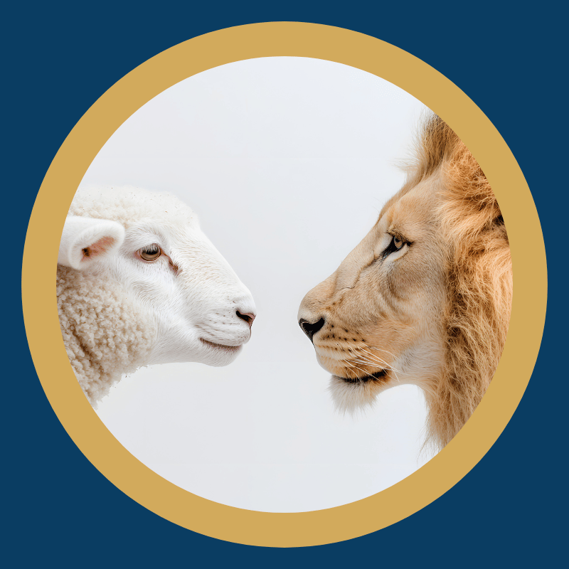 La gentillesse n'est ^pas une faiblesse