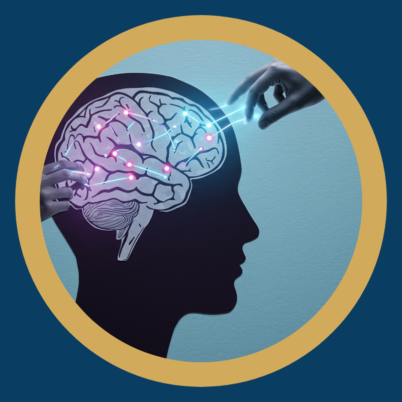 entreprise comportements citoyennete organisationnelle